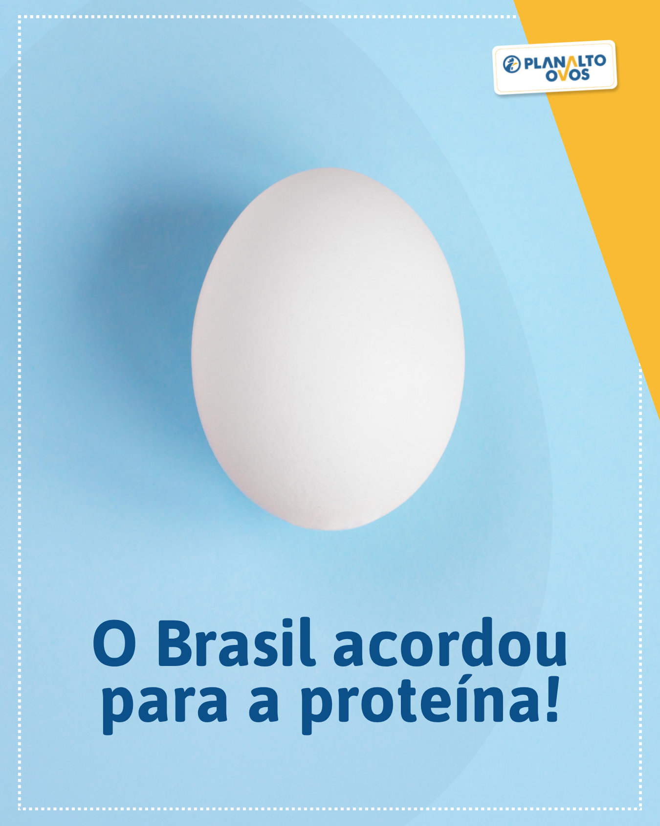 O Brasil acordou pra proteína