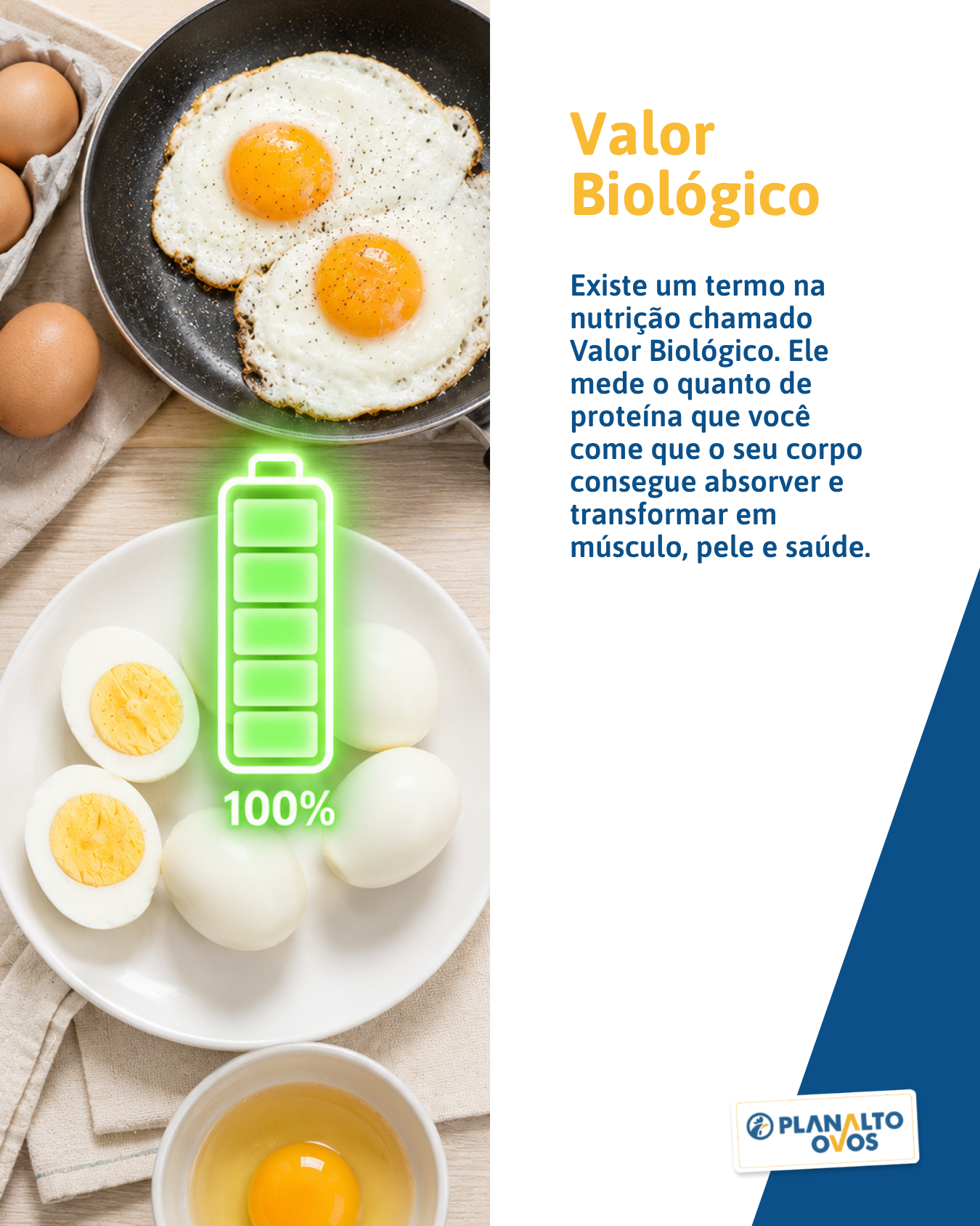 Valor Biológico slide 2