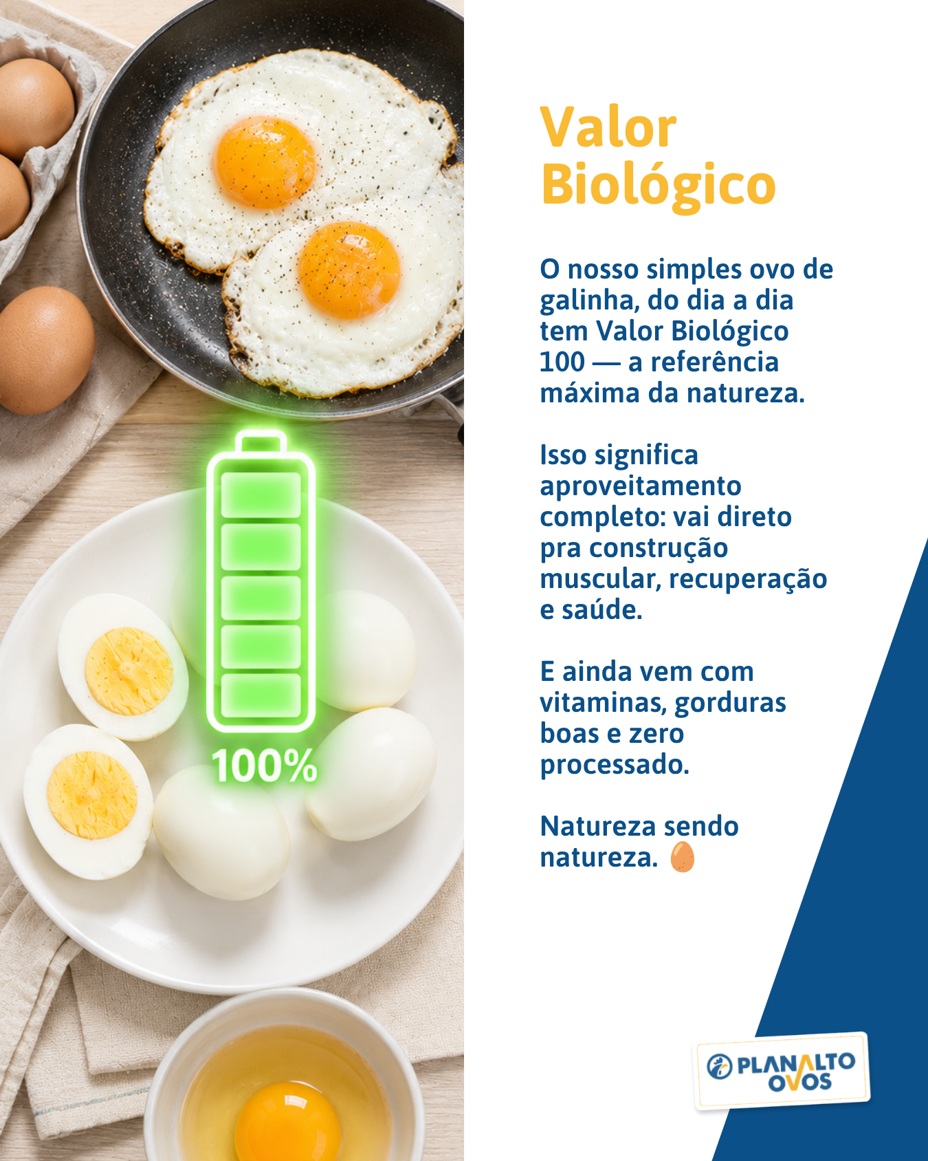 Valor Biológico slide 3