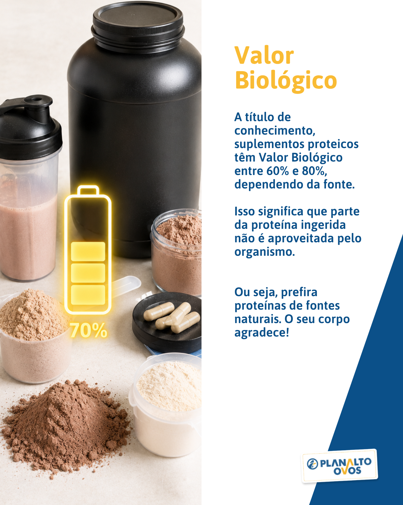 Valor Biológico slide 4