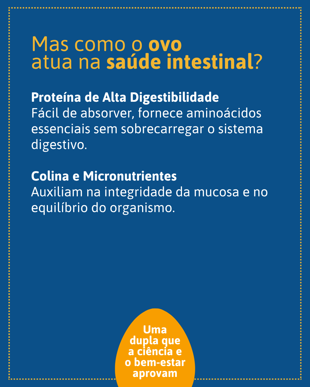 Feed 1 slide 3